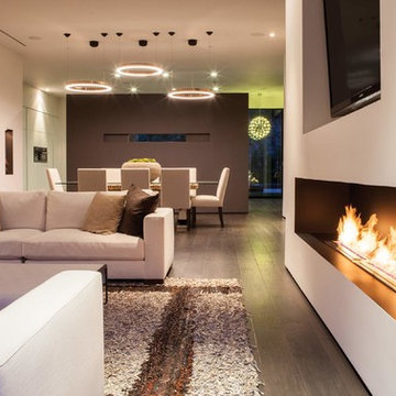 XL900 Ethanol Burner