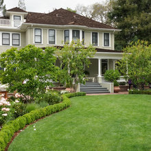 Front yard