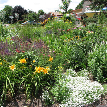 front yard
