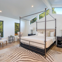 Zebra Rug