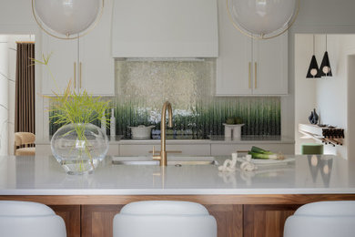 Kitchen - transitional kitchen idea in Boston