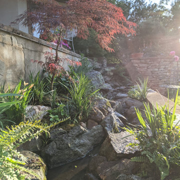 Front Planter Bed Reonvation - Waterfall, Stream, and Small Koi Pond