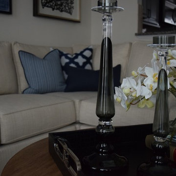 "Edgy" & Monochromatic Living Spaces- Manassas, VA