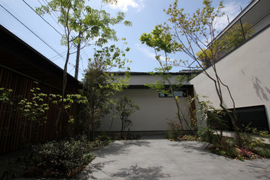 格子の家の緑景