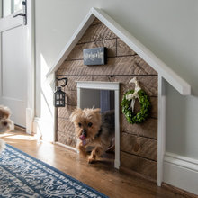 Dog Door
