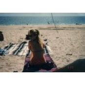 Dawn Rose's photo