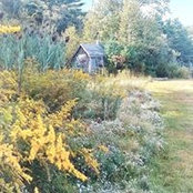 Anne Murphy's photo