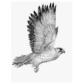 Kirk Theodore's photo