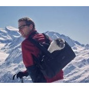 Pieter Bohls foto