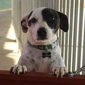 Emma Cooper's photo