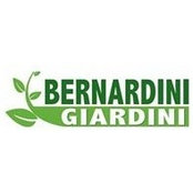 Massimo Bernardini's photo