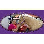 Foto von Denise Talbot