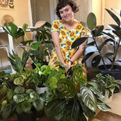 Kai Calathea's photo