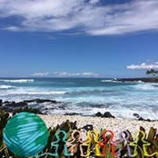 Brett Willis's photo