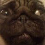 jack-anthony collier's photo