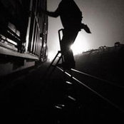 Drew Milburnさんの写真