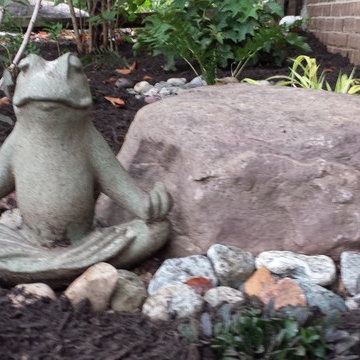 The "Zen" Frog