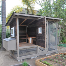 Chicken yard