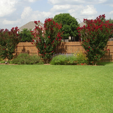 Garden Ideas