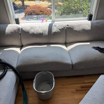 2 couches cleaning in Seattle