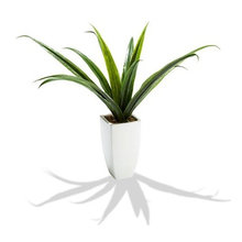 CDM fake plant ideas