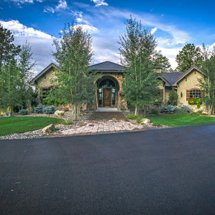Landscape in the Forest