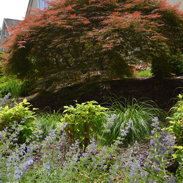 Bryn Mawr - Contemporary Spin on the Traditional Garden