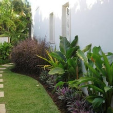 jardin pinar