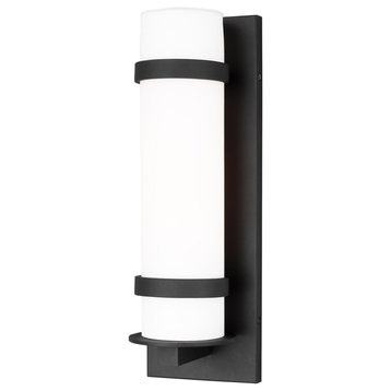 Sea Gull Alban Medium 1-Light Outdoor Barn Light Wall Lantern 8618301-12, Black