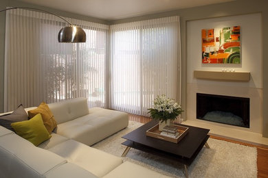 Mid-sized trendy enclosed dark wood floor and brown floor family room photo in San Luis Obispo with gray walls, a standard fireplace, a plaster fireplace and no tv
