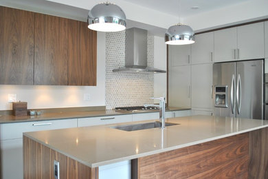 Minimalist kitchen photo in Ottawa