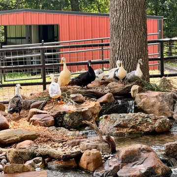 10x10 Duck Pond