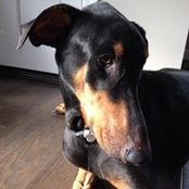 Laurie Chang Murphy's photo