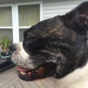 Sharon Strickland's photo