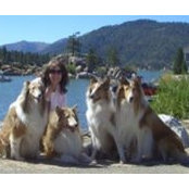 Cathy Schmidt's photo