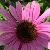 Michelle Morris's photo