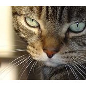 Christine Roberts's photo