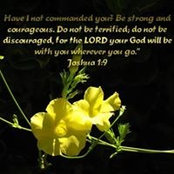 Lori Kling's photo