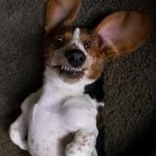 Brett Schneider's photo