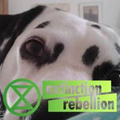 Jill Dodds's photo