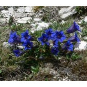 Theresa Schmid's photo