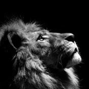 Sameer Zaveri's photo