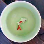 Suzanne Sadler's photo