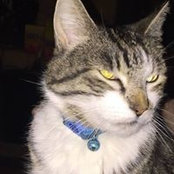 Donna Lanaman's photo