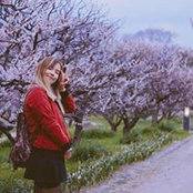 Thảo Dương's photo