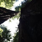 Nicholas Crall's photo