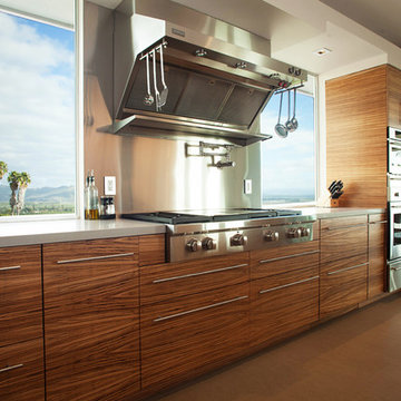 Contemporary Zebrawood & Glass Kitchen