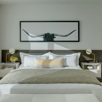 Flower Mound Modern