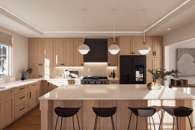 Organic Modern Kitchen Addition