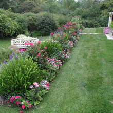 Annual Flower Bed